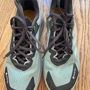 Terrex (Adidas)  Goretex Hiking Shoe Women's 8.5 U.S,